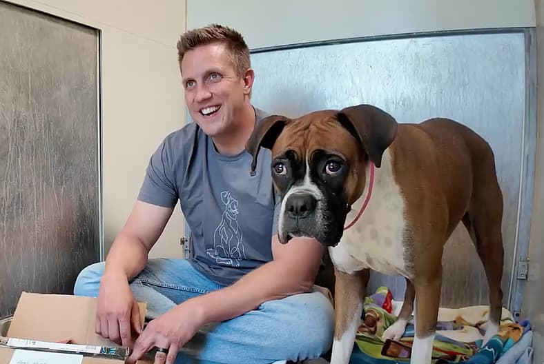 This Boxer Was Marked a “Caution Dog” at the Shelter—But One Kind Stranger Changed Everything
